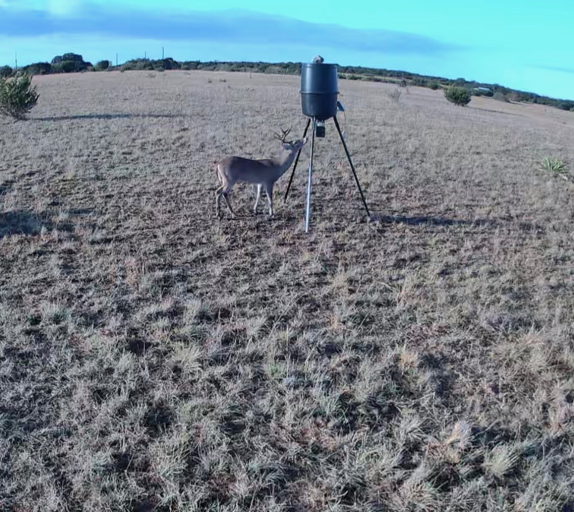 39 330th Goldthwaite, TX 76844 - Photo 9 of 12 Exterior view