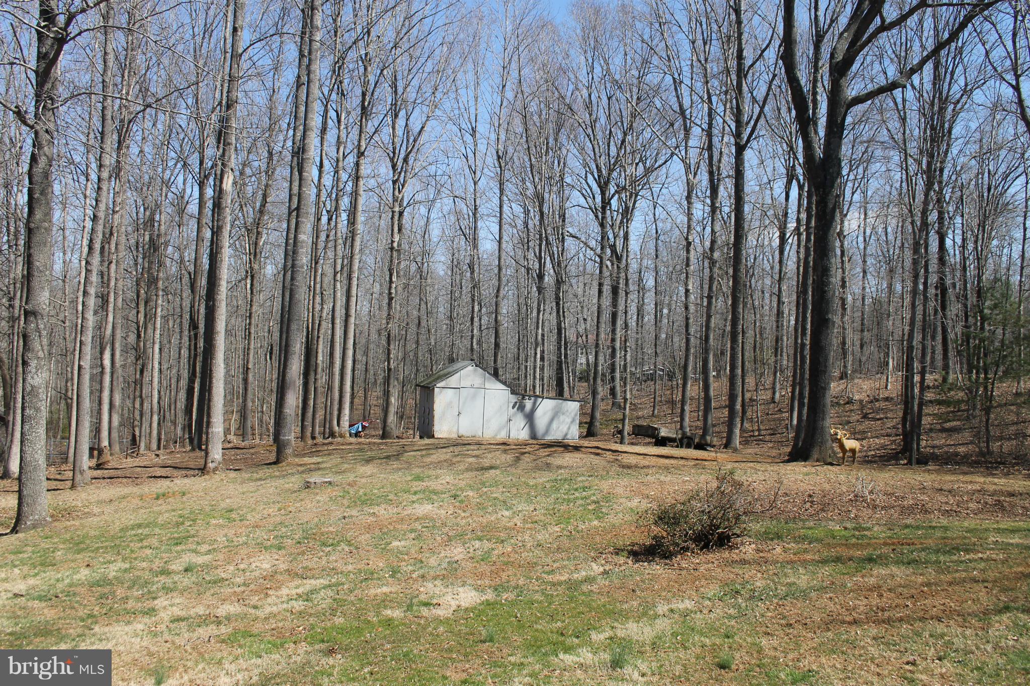 10275 Dutch Hollow Road Rixeyville, VA 22737 - Photo 21 of 21 a view of large tree with wooden fence