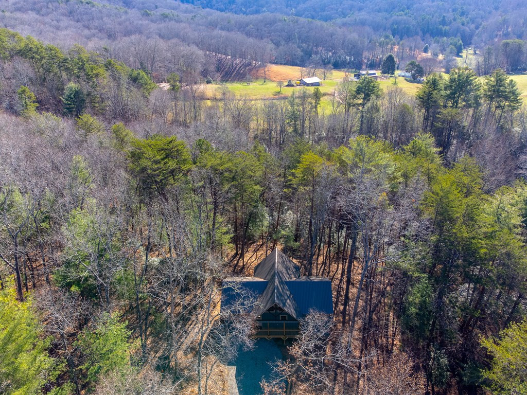 397 Kennelly Loop Murphy, NC 28906 - Photo 40 of 41