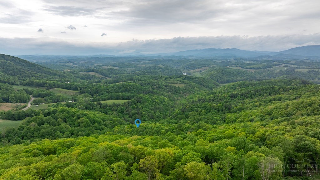 970 Vox Road Sparta, NC 28675 - Photo 42 of 50 a view of a city with lush green forest