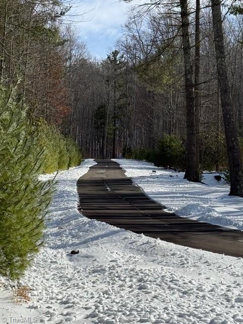 Lot 38 Sonterra Ridge Lansing, NC 28643 - Photo 4 of 7