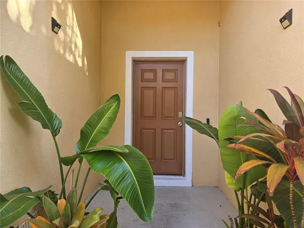 a view of a plant in a room