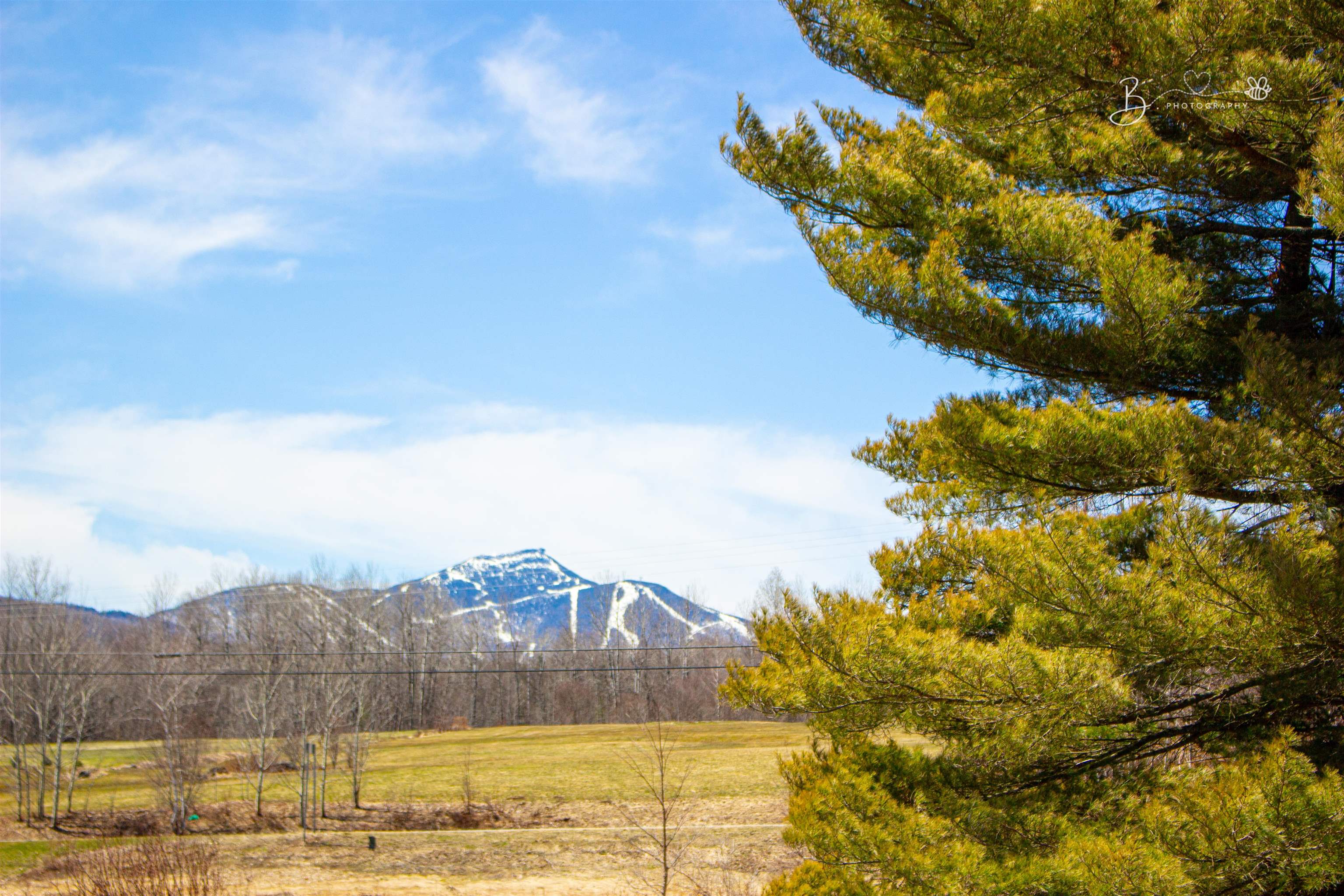 1387 Highway 101 Troy, VT 05859 - Photo 39 of 41