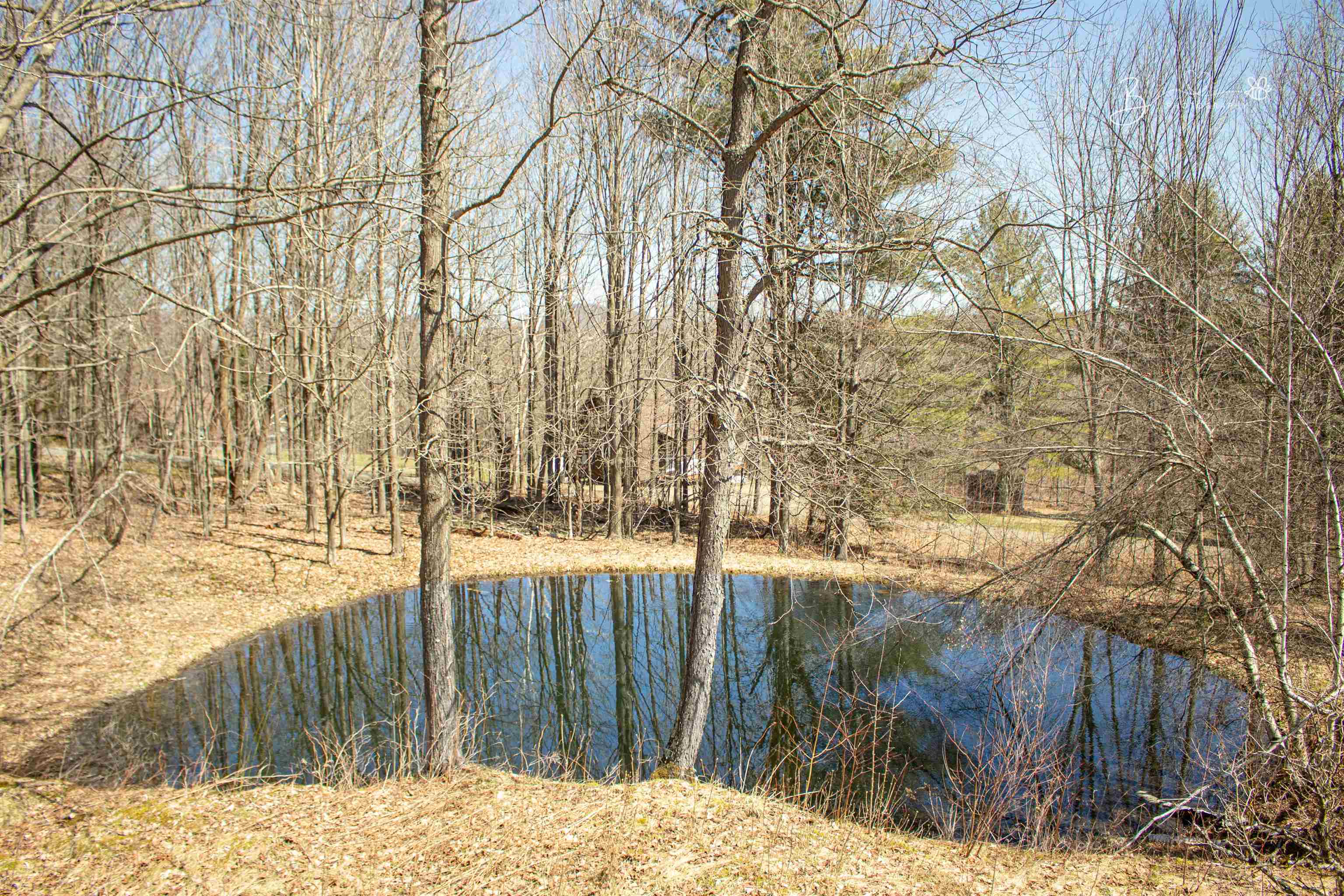 1387 Highway 101 Troy, VT 05859 - Photo 5 of 41