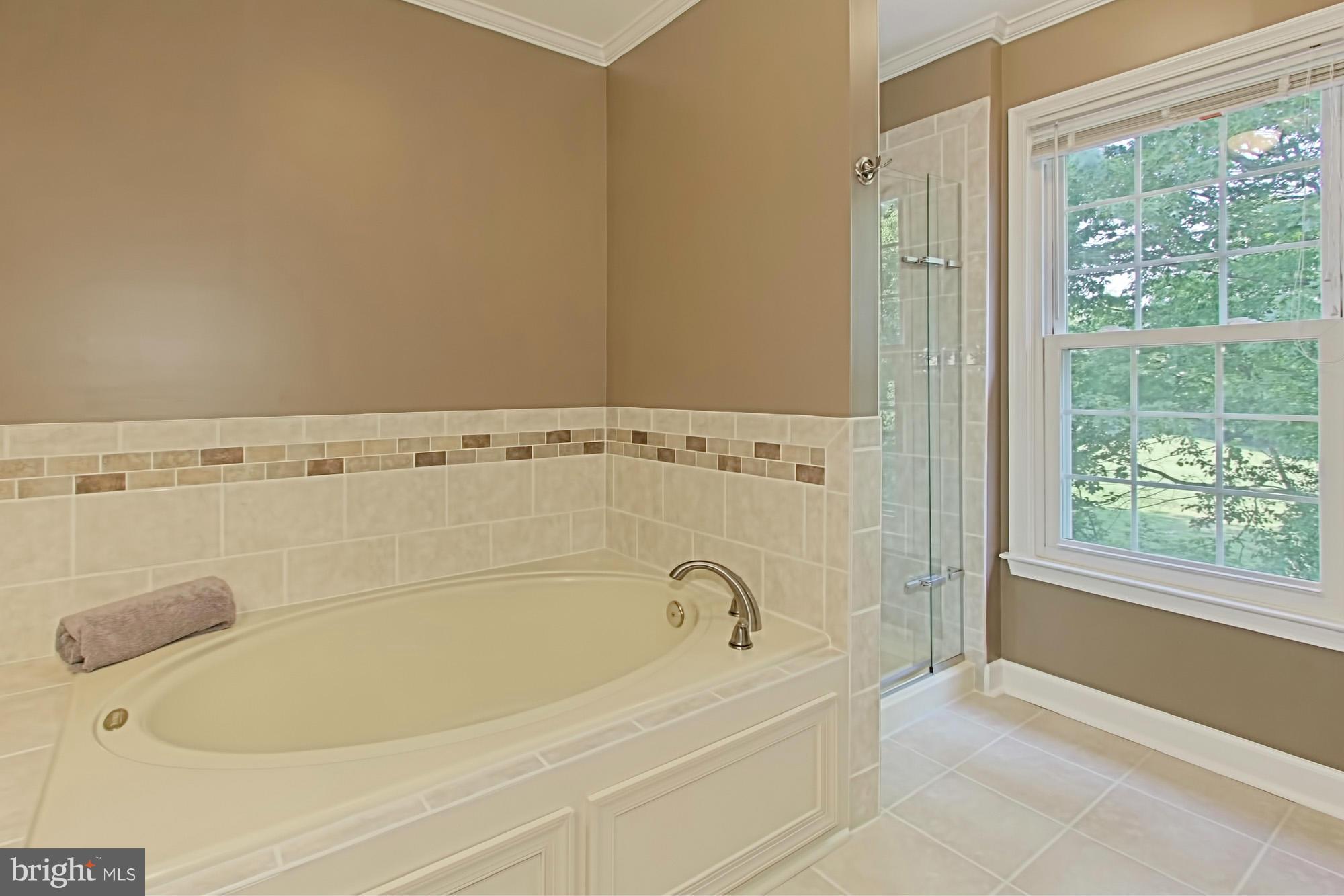 3805 Inverness Road Fairfax, VA 22033 - Photo 17 of 28 Bath (Master)