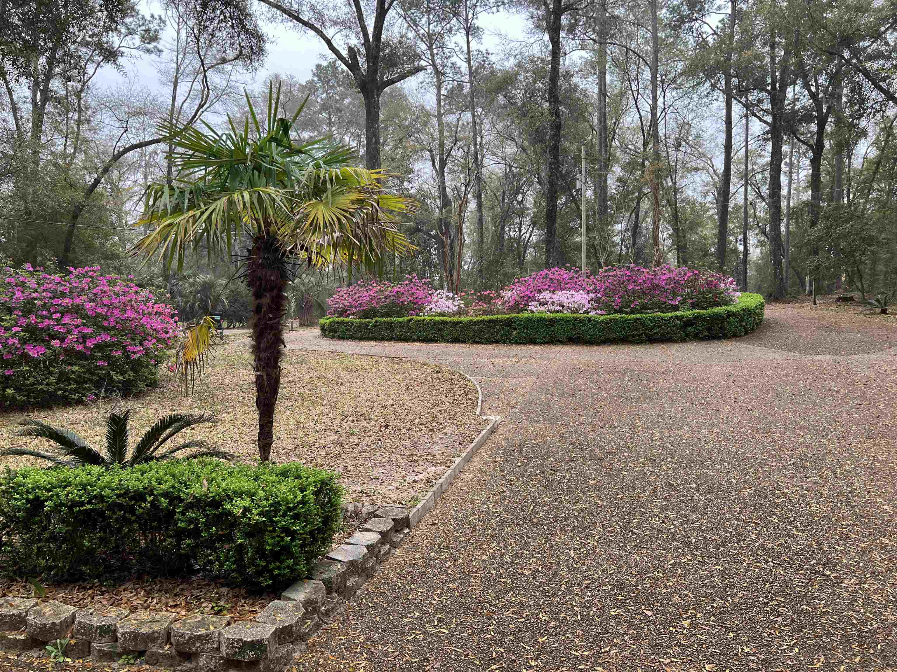 551 Gould Road Quincy, FL 32351 - Photo 9 of 70