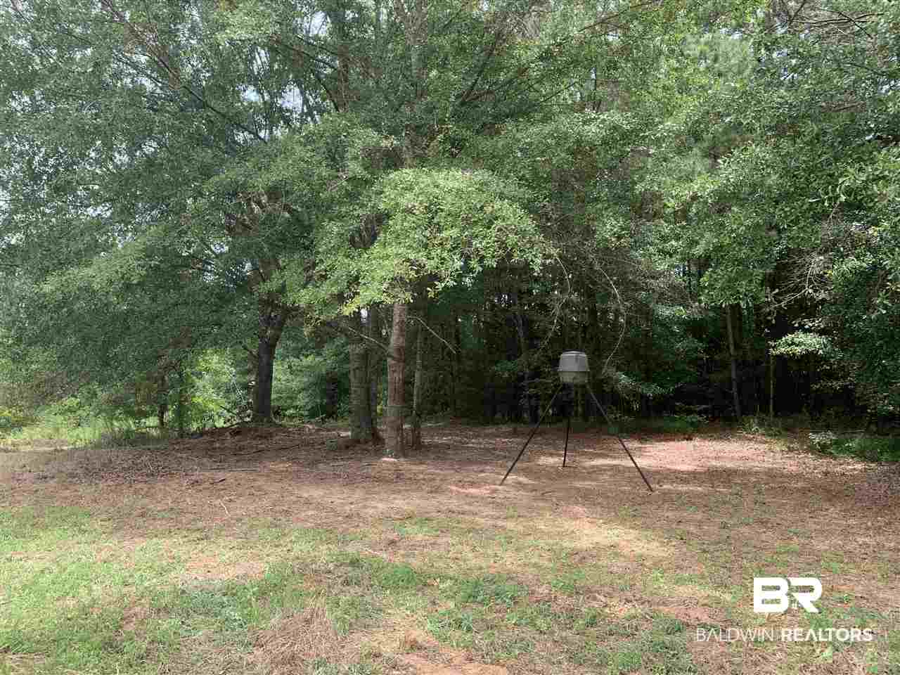 1178 Dry Lake Road Luverne, AL 36049 - Photo 24 of 50