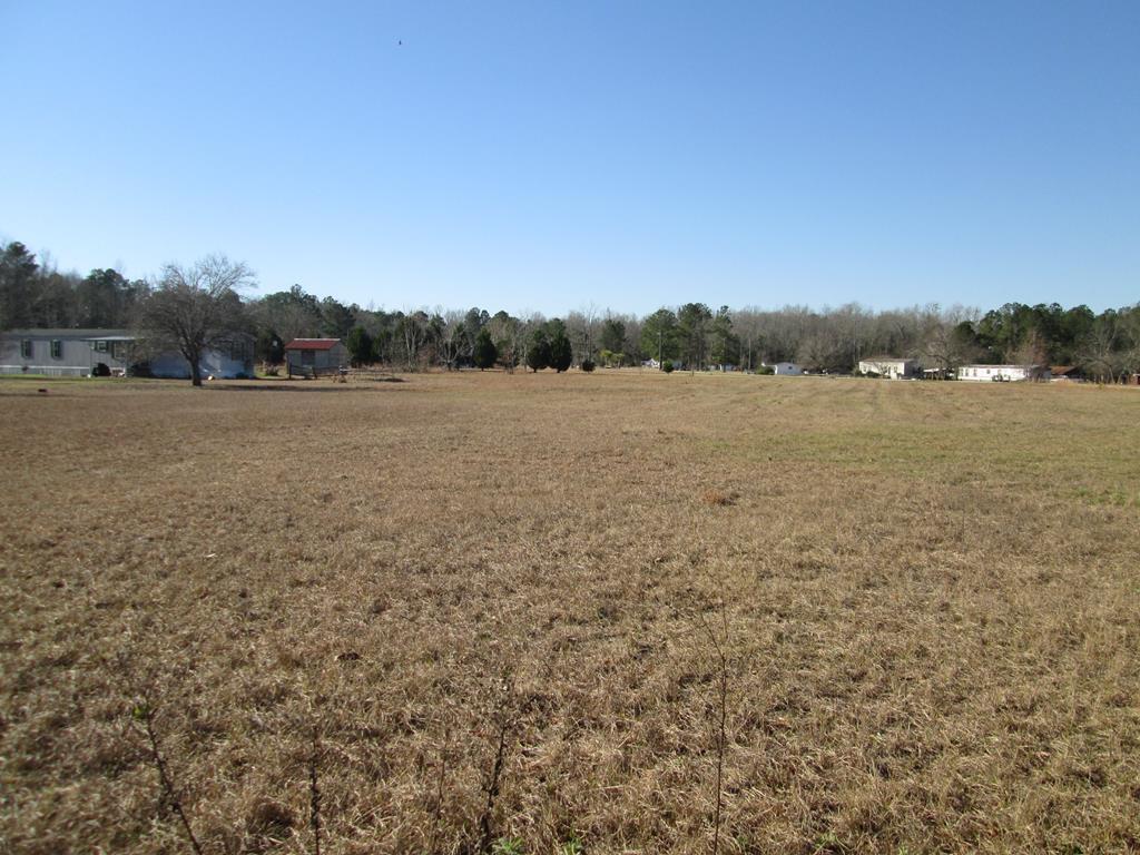 456 Hidden Acres Road Cordova, SC 29039 - Photo 1 of 6 148466_0