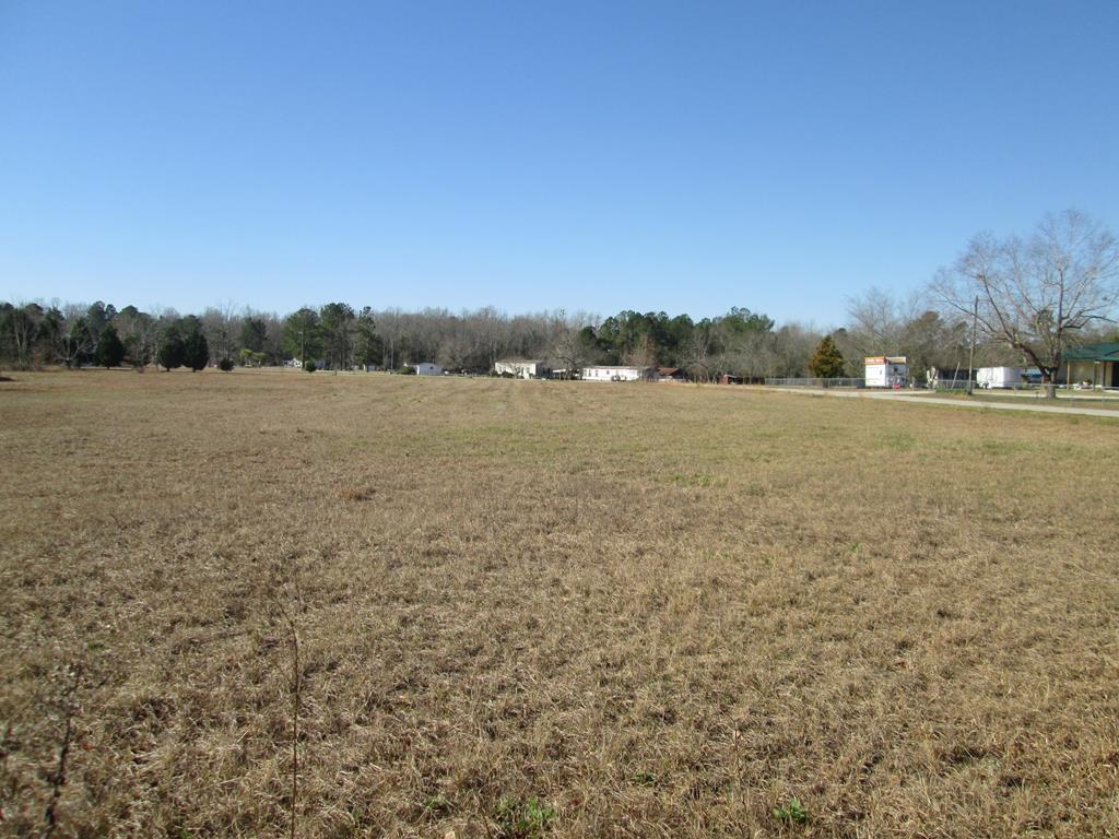 456 Hidden Acres Road Cordova, SC 29039 - Photo 4 of 6 148466_3
