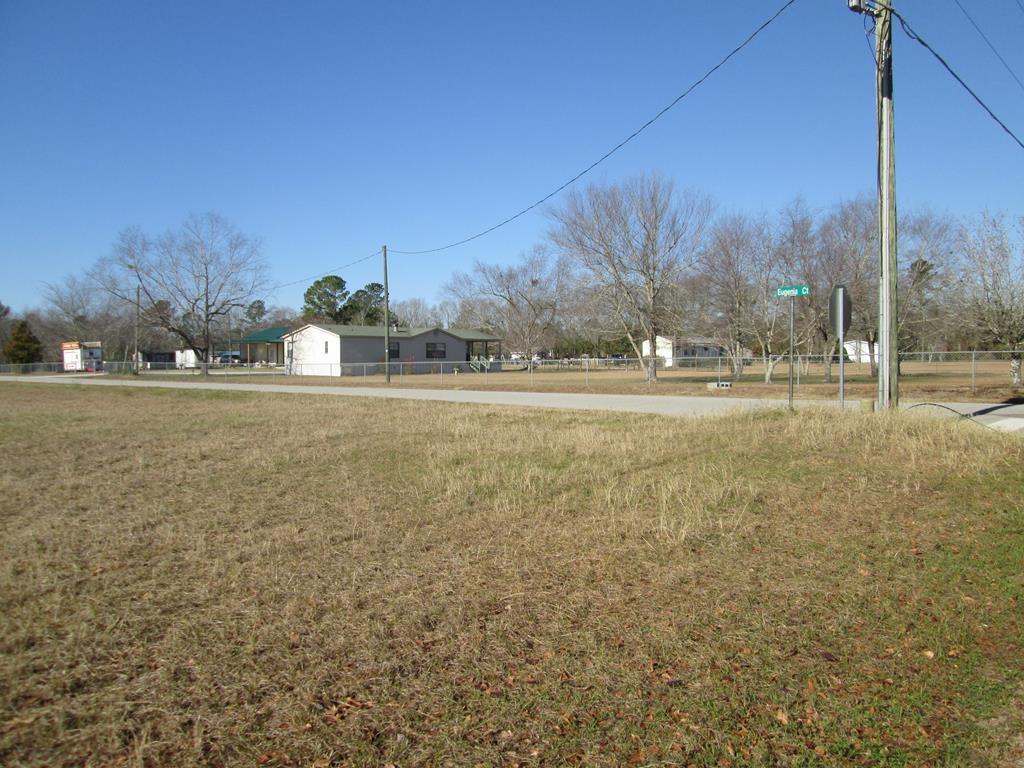 456 Hidden Acres Road Cordova, SC 29039 - Photo 5 of 6 148466_4
