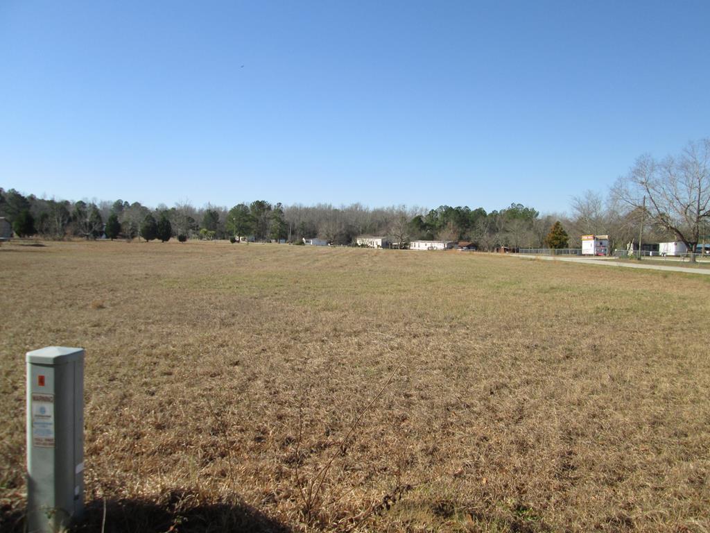 456 Hidden Acres Road Cordova, SC 29039 - Photo 6 of 6 148466_5