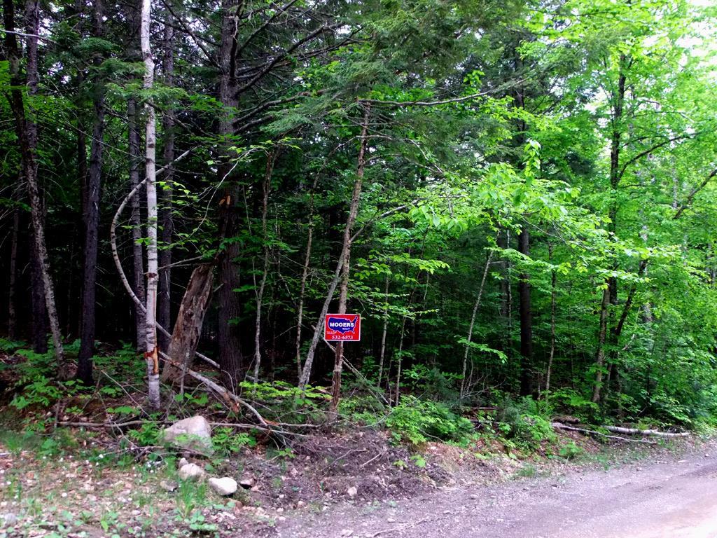 Lot 1 South Shore Road Houlton, ME 04730 - Photo 30 of 35 Photo