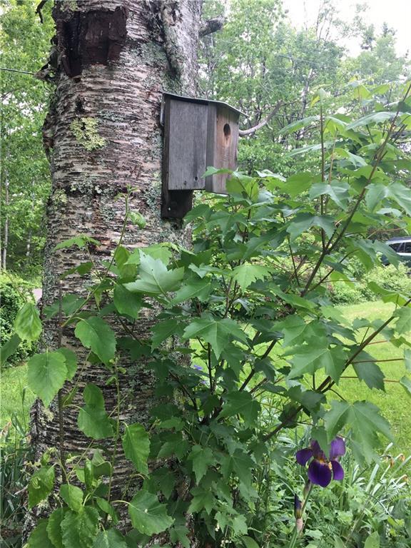 62 Morrison Road Bristol, ME 04564 - Photo 24 of 30 Photo