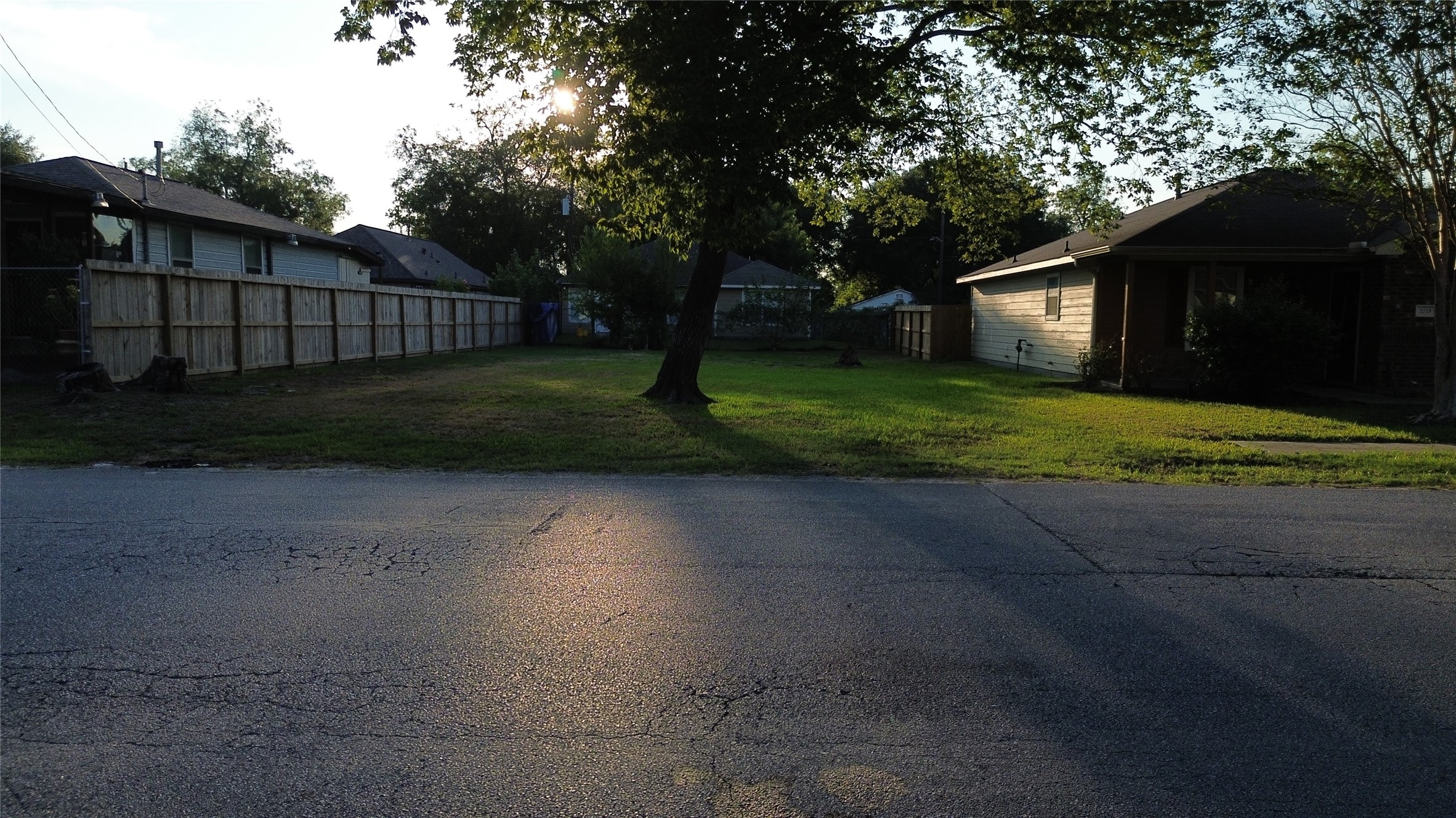 2109 Sam Wilson Street Houston, TX 77020 - Photo 4 of 7 a view of a backyard with large trees