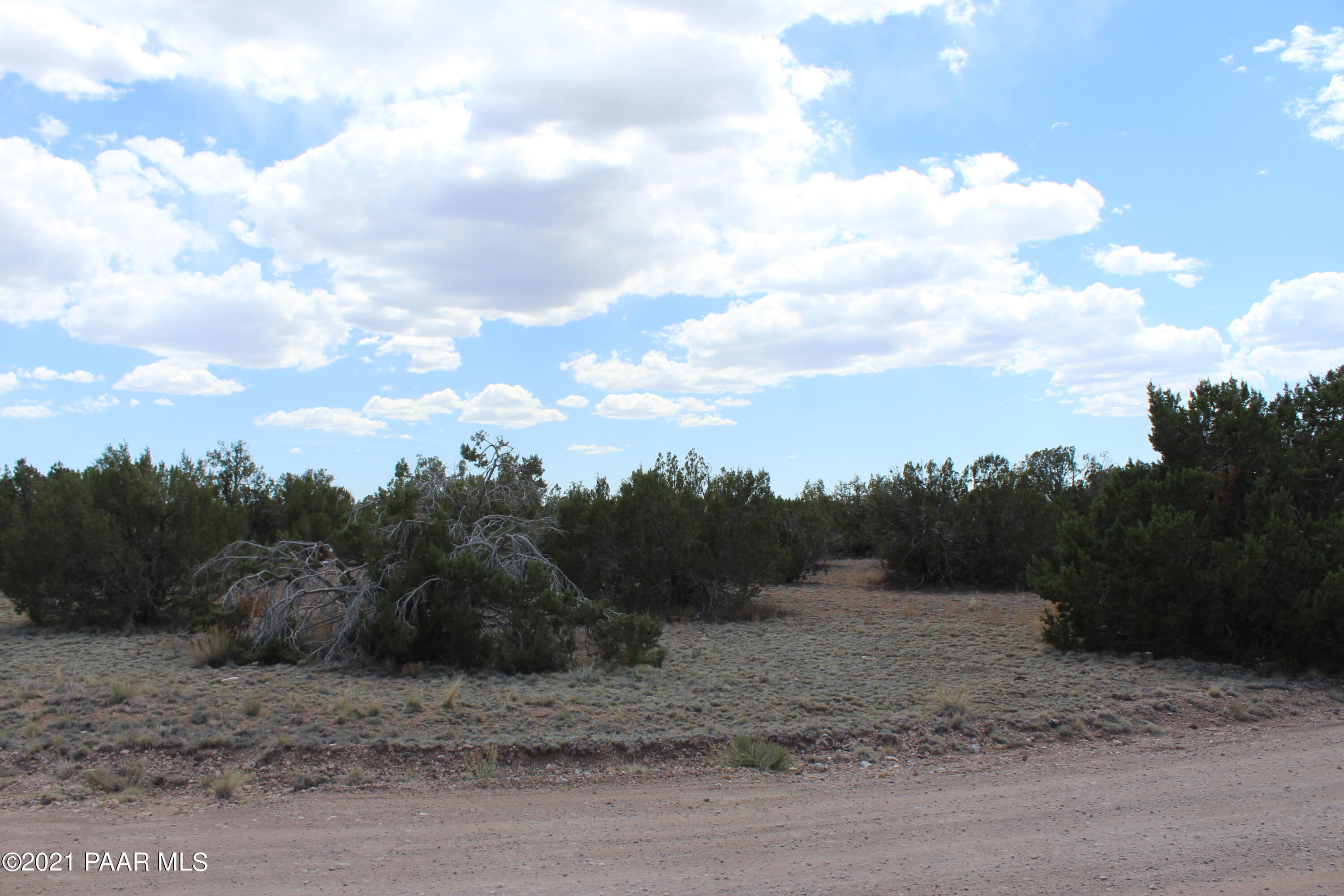 26765 Granada Road Seligman, AZ 86337 - Photo 2 of 7 IMG_8669