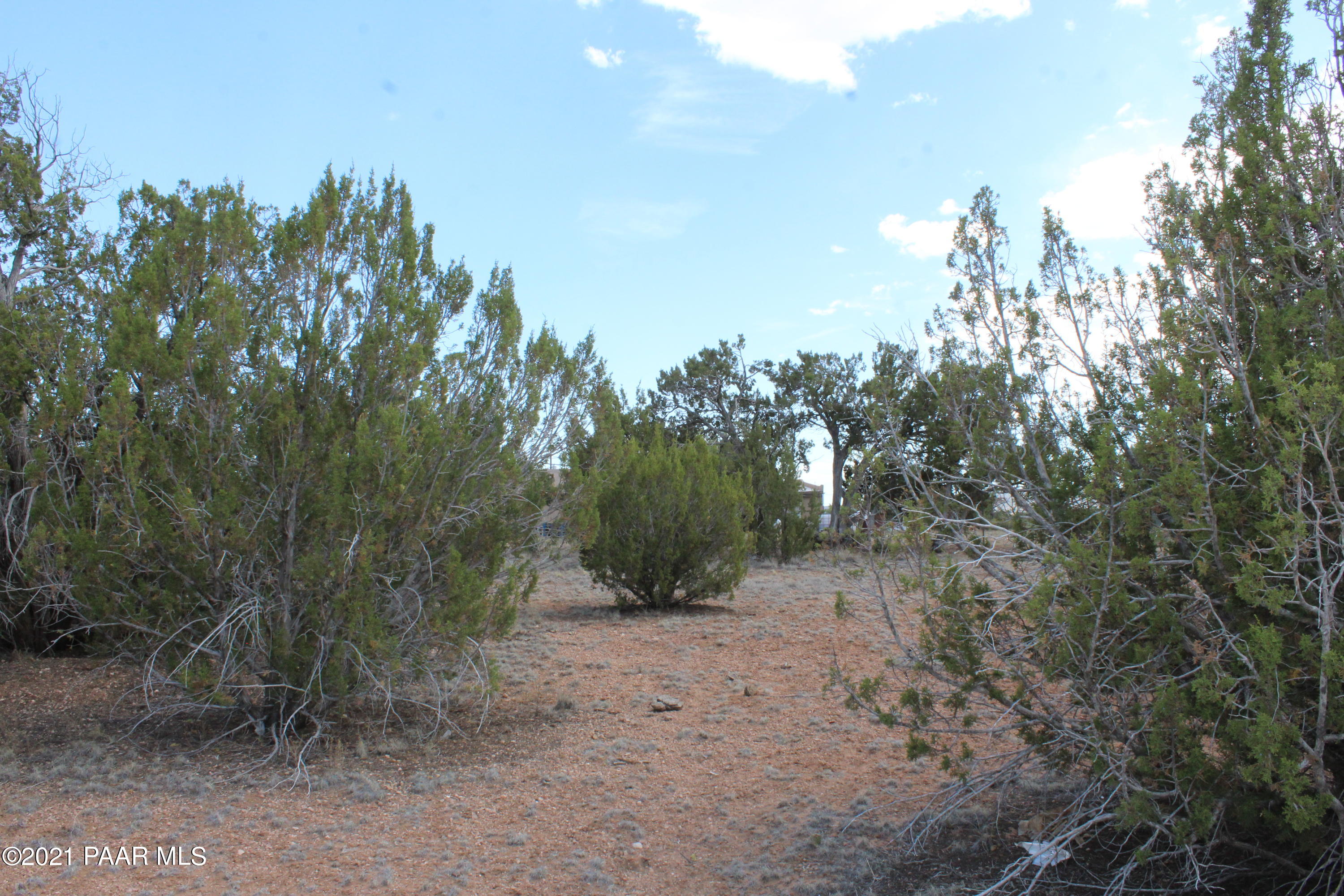 26765 Granada Road Seligman, AZ 86337 - Photo 3 of 7 IMG_8673