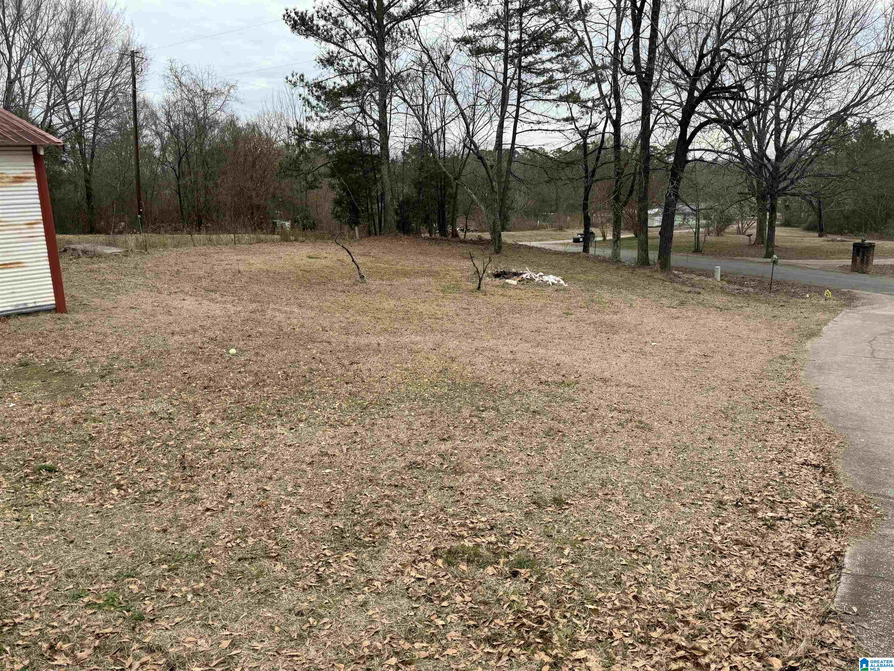 430 Old Macedonia Ragland, AL 35131 - Photo 32 of 42