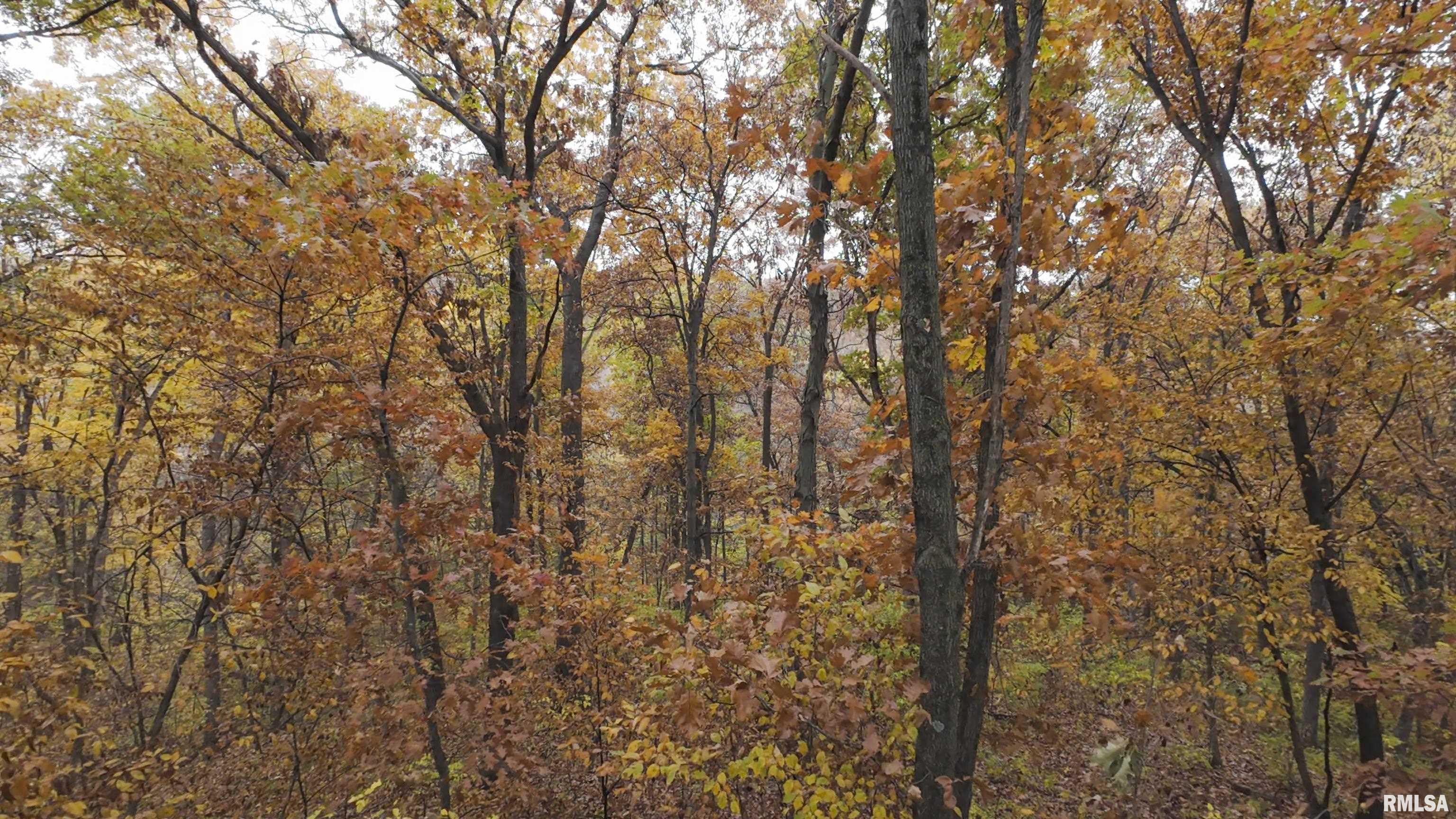 0 North Turner Road Lewistown, IL 61542 - Photo 14 of 32