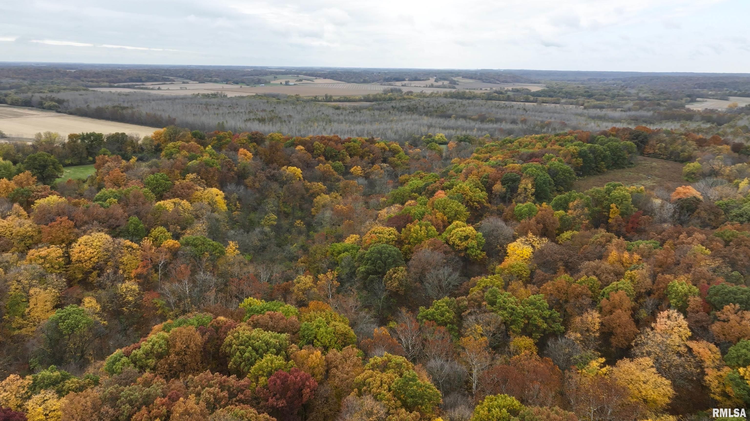 0 North Turner Road Lewistown, IL 61542 - Photo 5 of 32