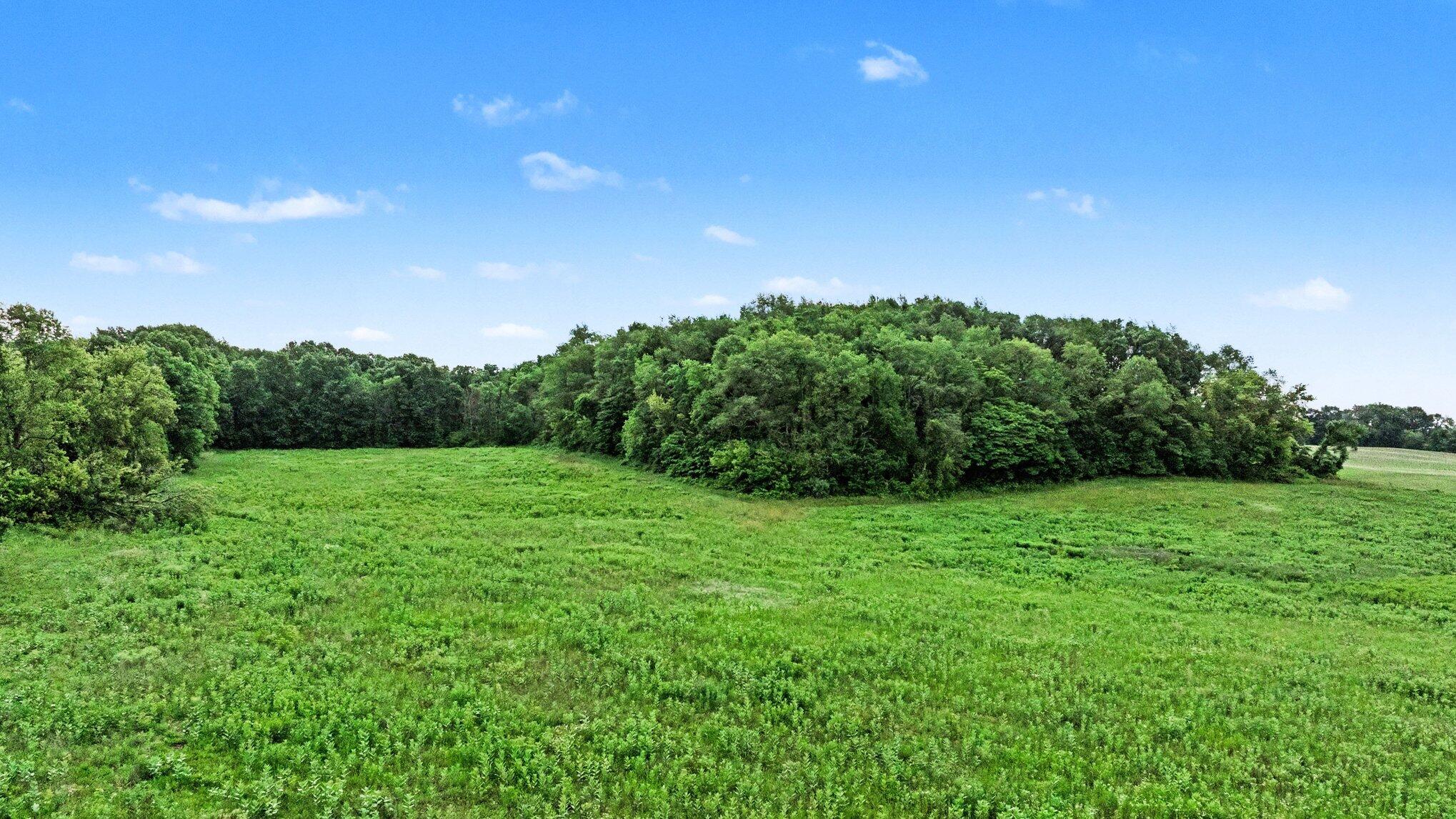 V/l Knight Road Marcellus, MI 49067 - Photo 6 of 11 005_file_5946