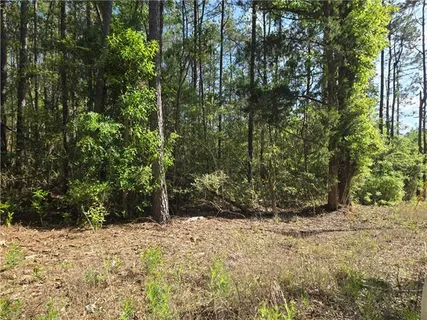 $27,000 | 0 Arlena Lane, Poplarville, MS 39470