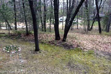 2510 Weaver Road Port Austin, MI 48467 - Photo 13 of 14 2510WeaverRdYd.jpg