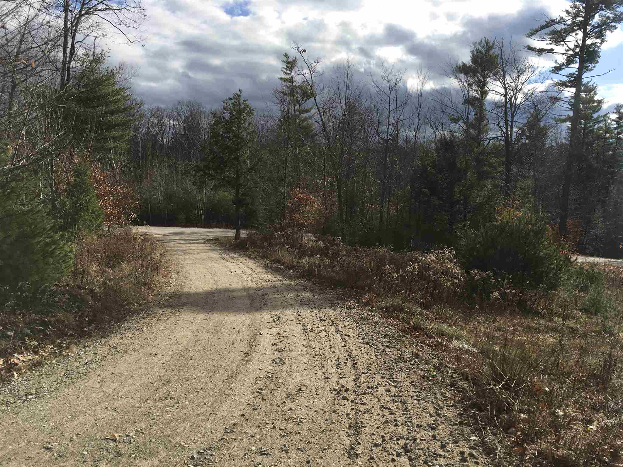 L16 Drew Farms Road, Unit 16 Brookfield, NH 03872 - Photo 1 of 19