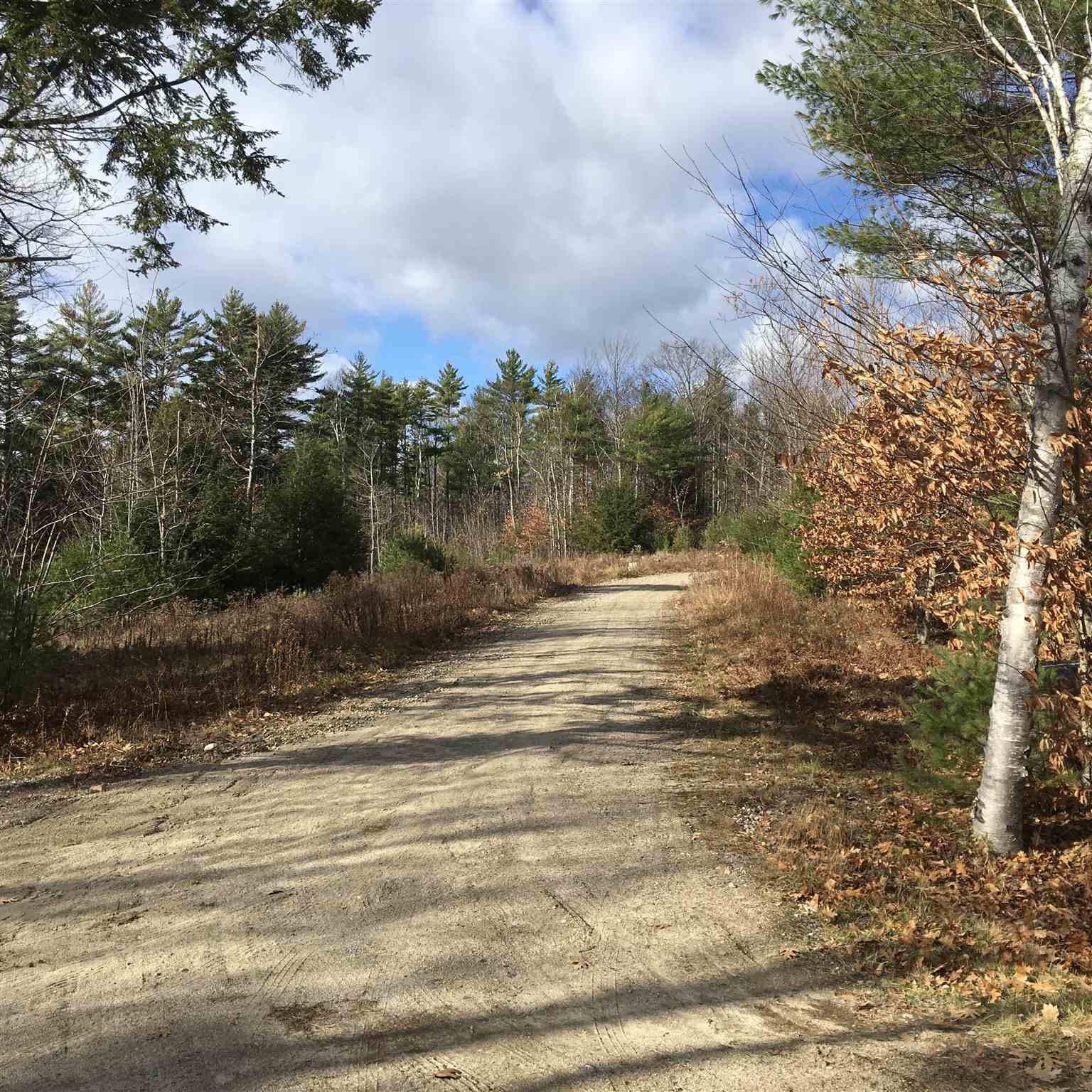 L16 Drew Farms Road, Unit 16 Brookfield, NH 03872 - Photo 2 of 19