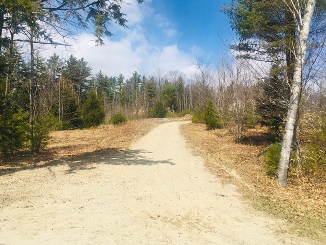 L16 Drew Farms Road, Unit 16 Brookfield, NH 03872 - Photo 12 of 19