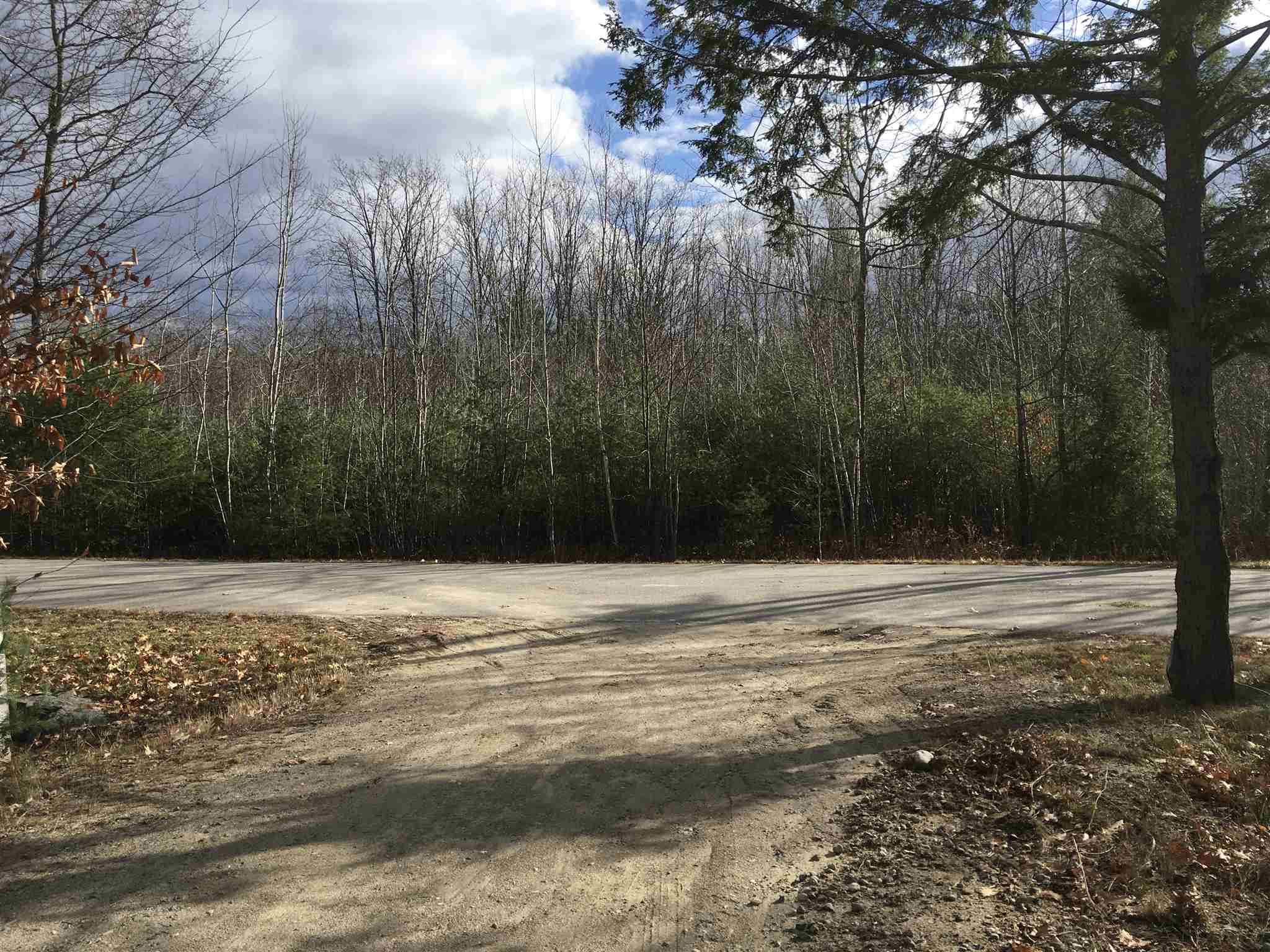 L16 Drew Farms Road, Unit 16 Brookfield, NH 03872 - Photo 13 of 19