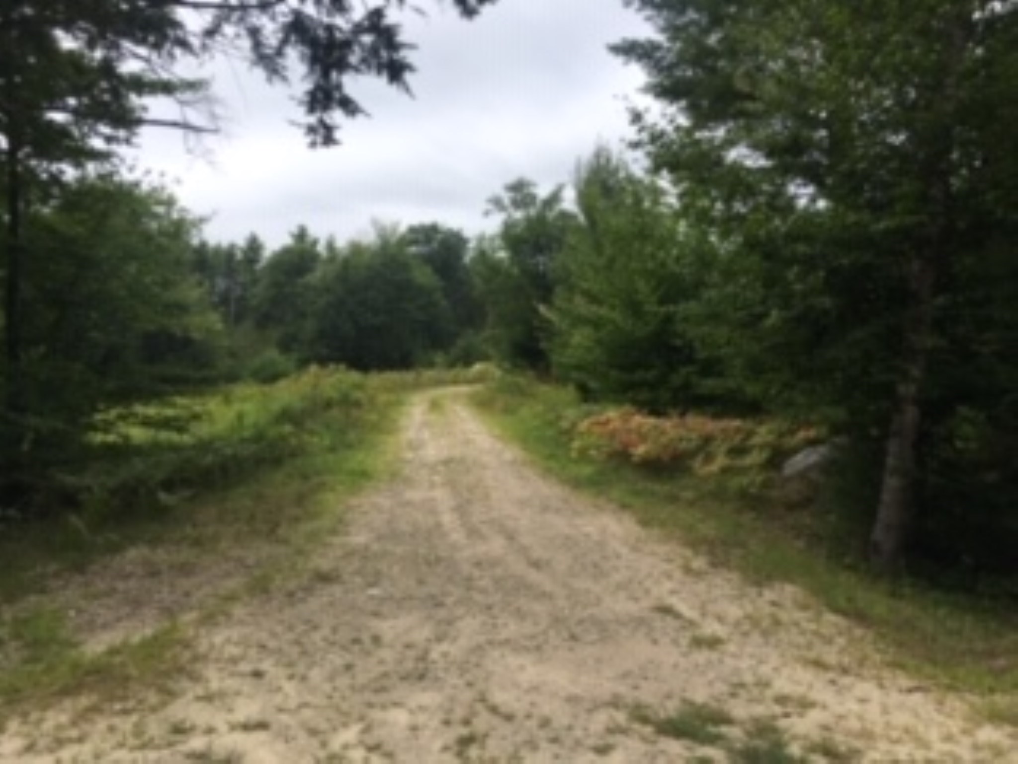 L16 Drew Farms Road, Unit 16 Brookfield, NH 03872 - Photo 14 of 19