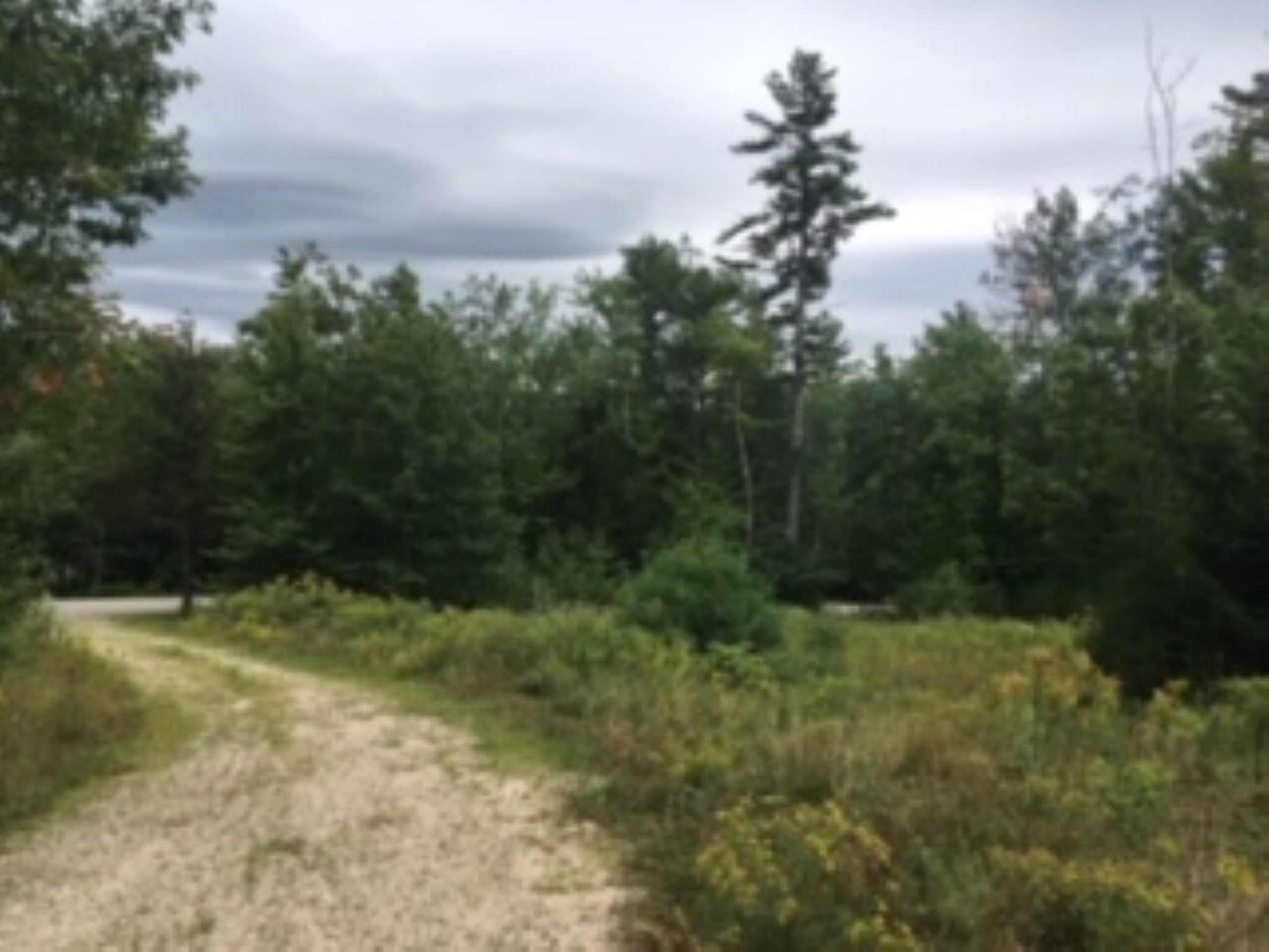 L16 Drew Farms Road, Unit 16 Brookfield, NH 03872 - Photo 15 of 19