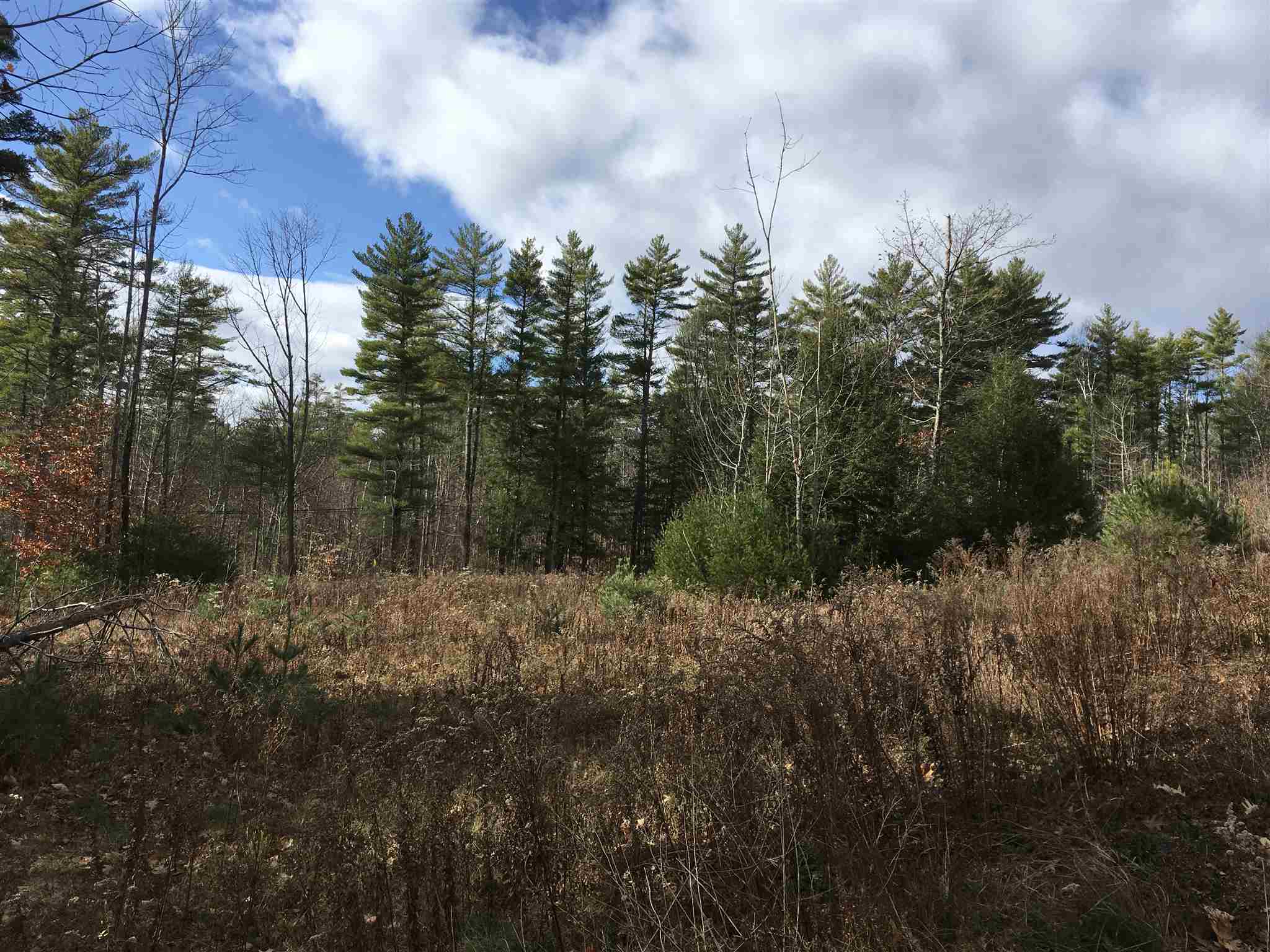 L16 Drew Farms Road, Unit 16 Brookfield, NH 03872 - Photo 16 of 19