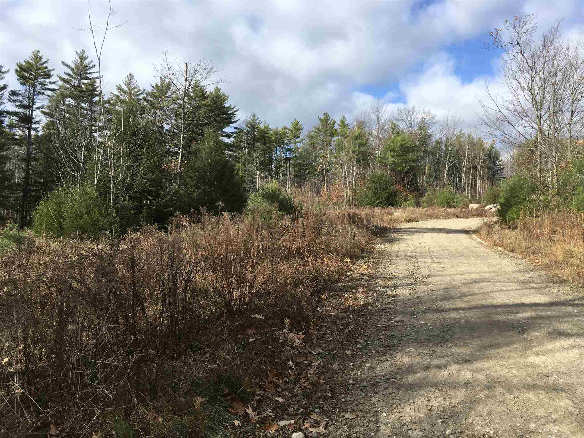 L16 Drew Farms Road, Unit 16 Brookfield, NH 03872 - Photo 3 of 19