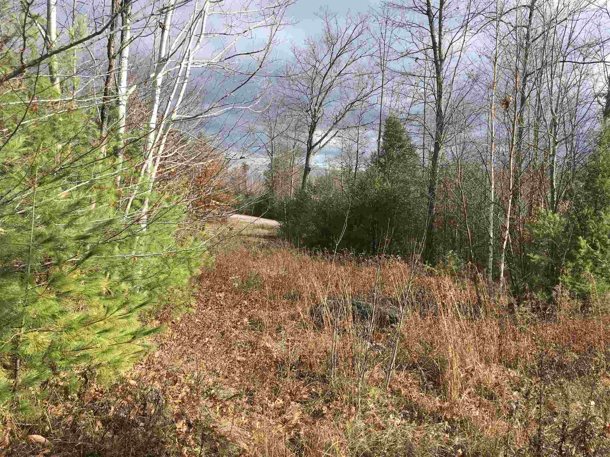 L16 Drew Farms Road, Unit 16 Brookfield, NH 03872 - Photo 4 of 19
