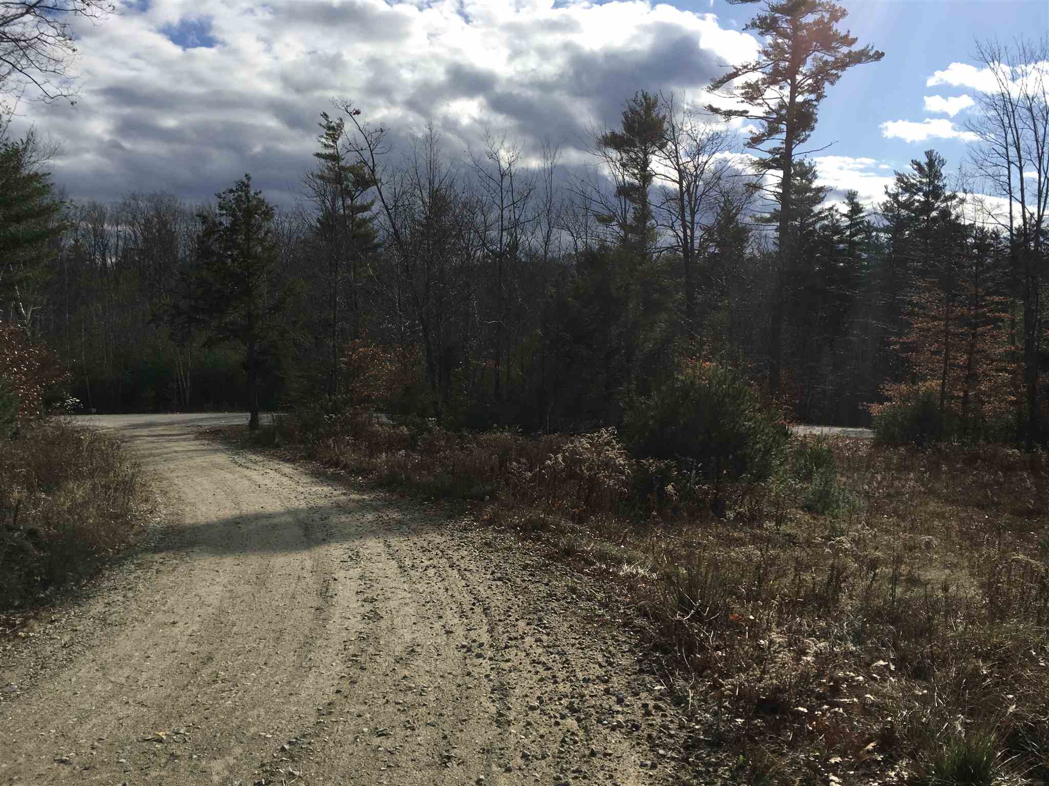 L16 Drew Farms Road, Unit 16 Brookfield, NH 03872 - Photo 5 of 19