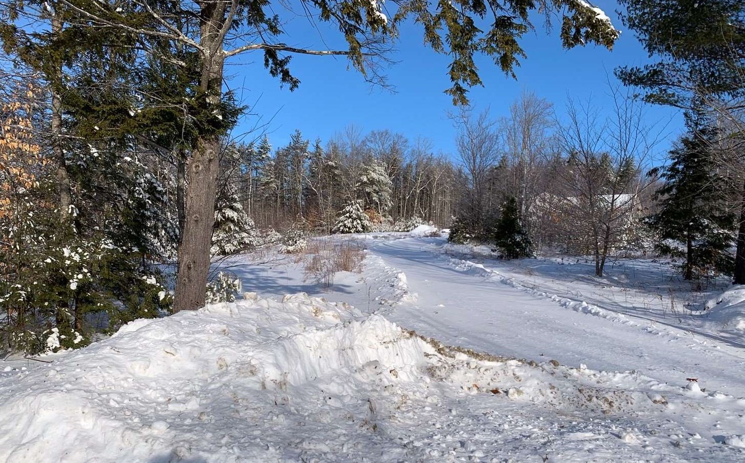 L16 Drew Farms Road, Unit 16 Brookfield, NH 03872 - Photo 6 of 19