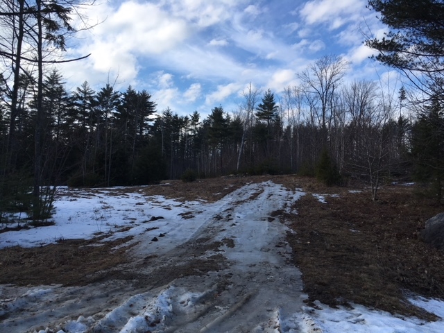 L16 Drew Farms Road, Unit 16 Brookfield, NH 03872 - Photo 7 of 19