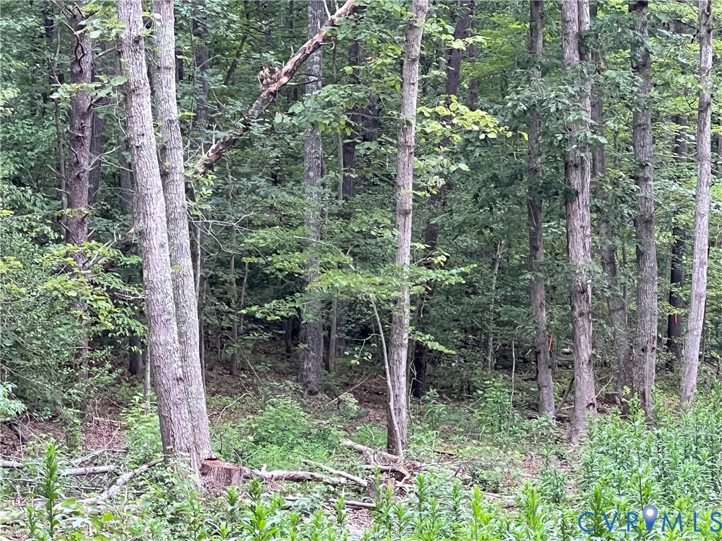 2852 Nelsons Bridge Road Hanover, VA 23069 - Photo 2 of 2 View of tree filled area