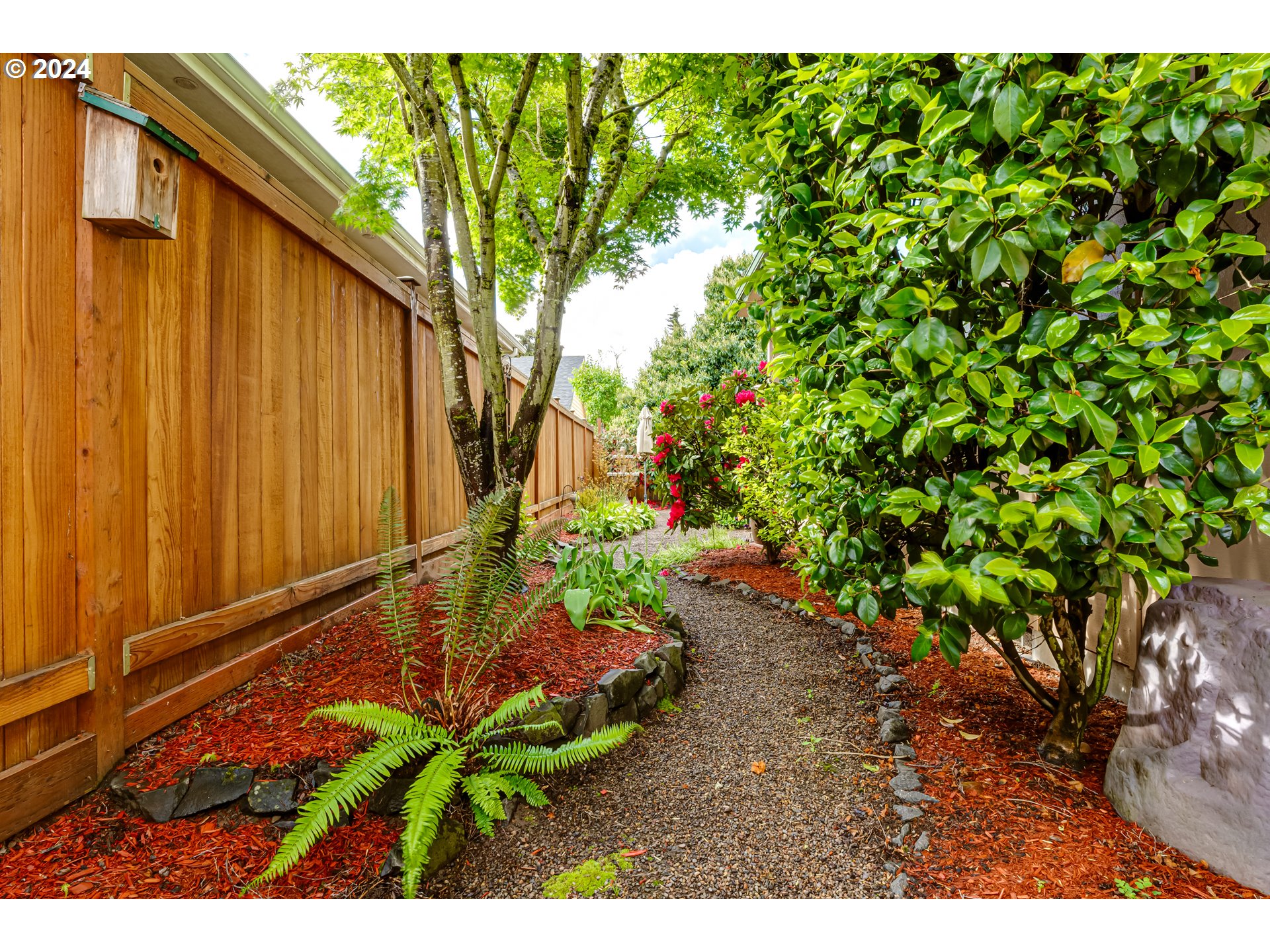 1547 Canal Street Springfield, OR 97477 - Photo 36 of 37 a backyard of a house with lots of green space