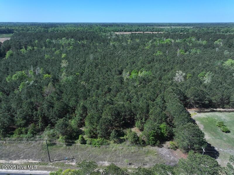 Tbd Williamson Road Fairmont, NC 28340 - Photo 3 of 22 DJI_20250410115334_0517_D