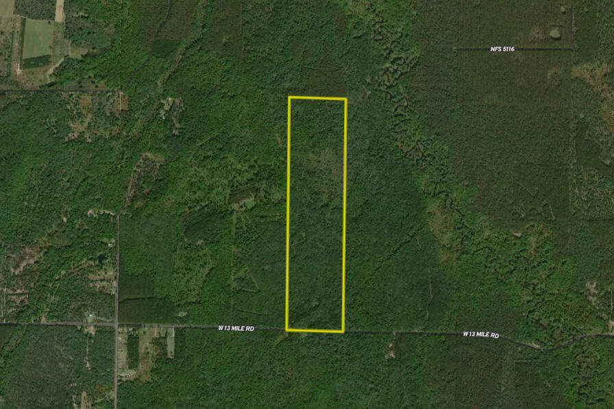 13 West 13 Mile Road, Unit PAR A Bitely, MI 49309 - Photo 14 of 15
