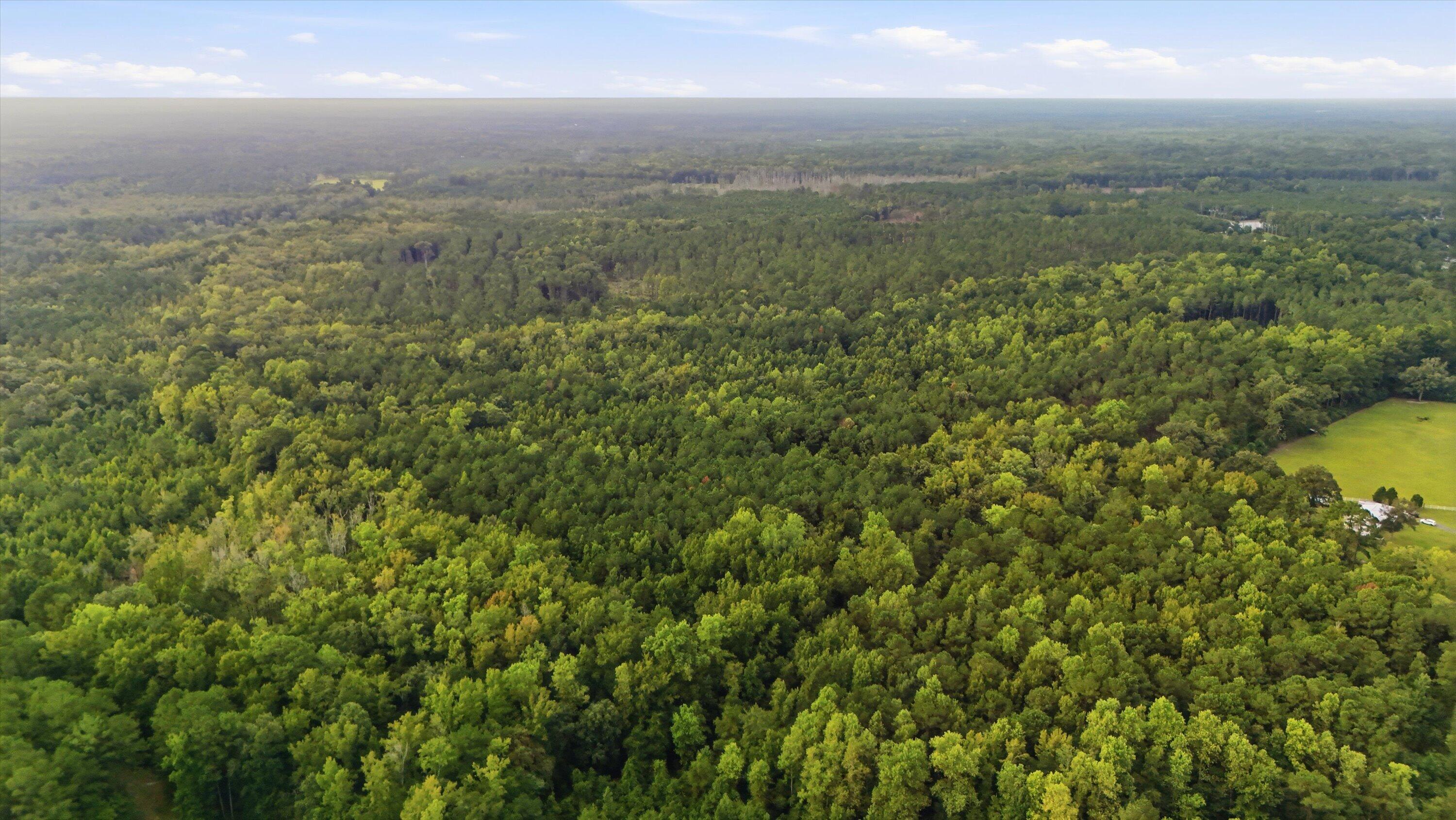 0 Barracada Road Walterboro, SC 29488 - Photo 15 of 26 15-012_DJI_20260910094656_0008_D