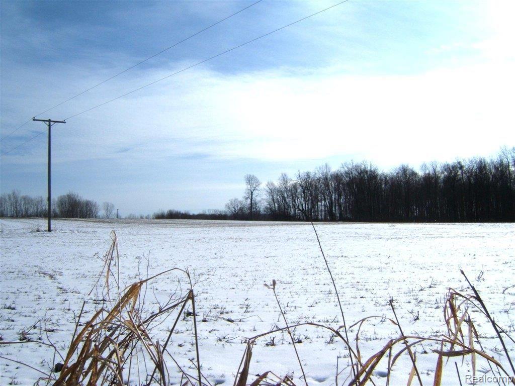 cedar road 01.JPG