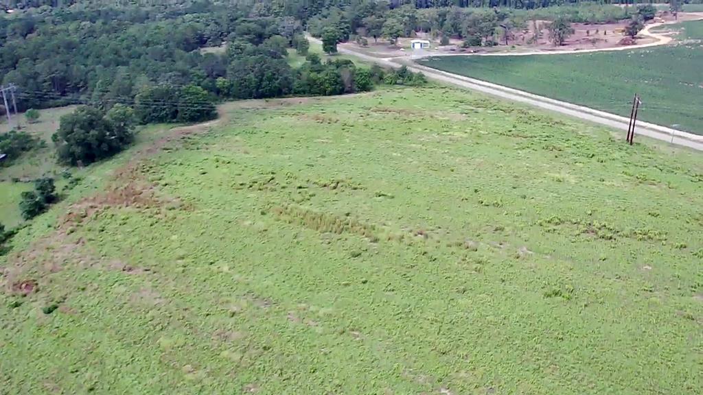 0 Gilley Mill Road Webb, AL 36376 - Photo 12 of 14