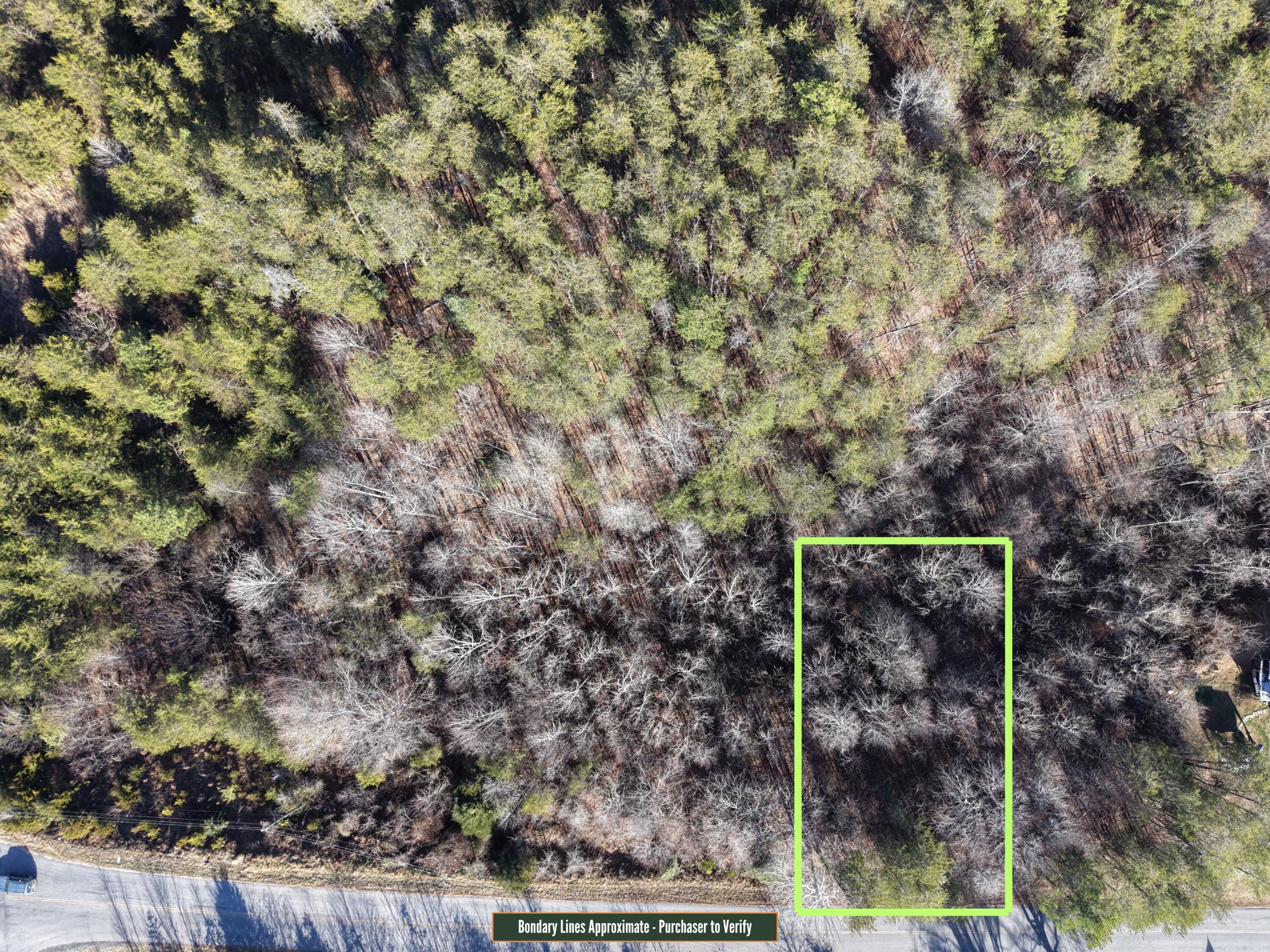 Lot 9 A Pine Valley Road Bassett, VA 24055 - Photo 3 of 3 unknown