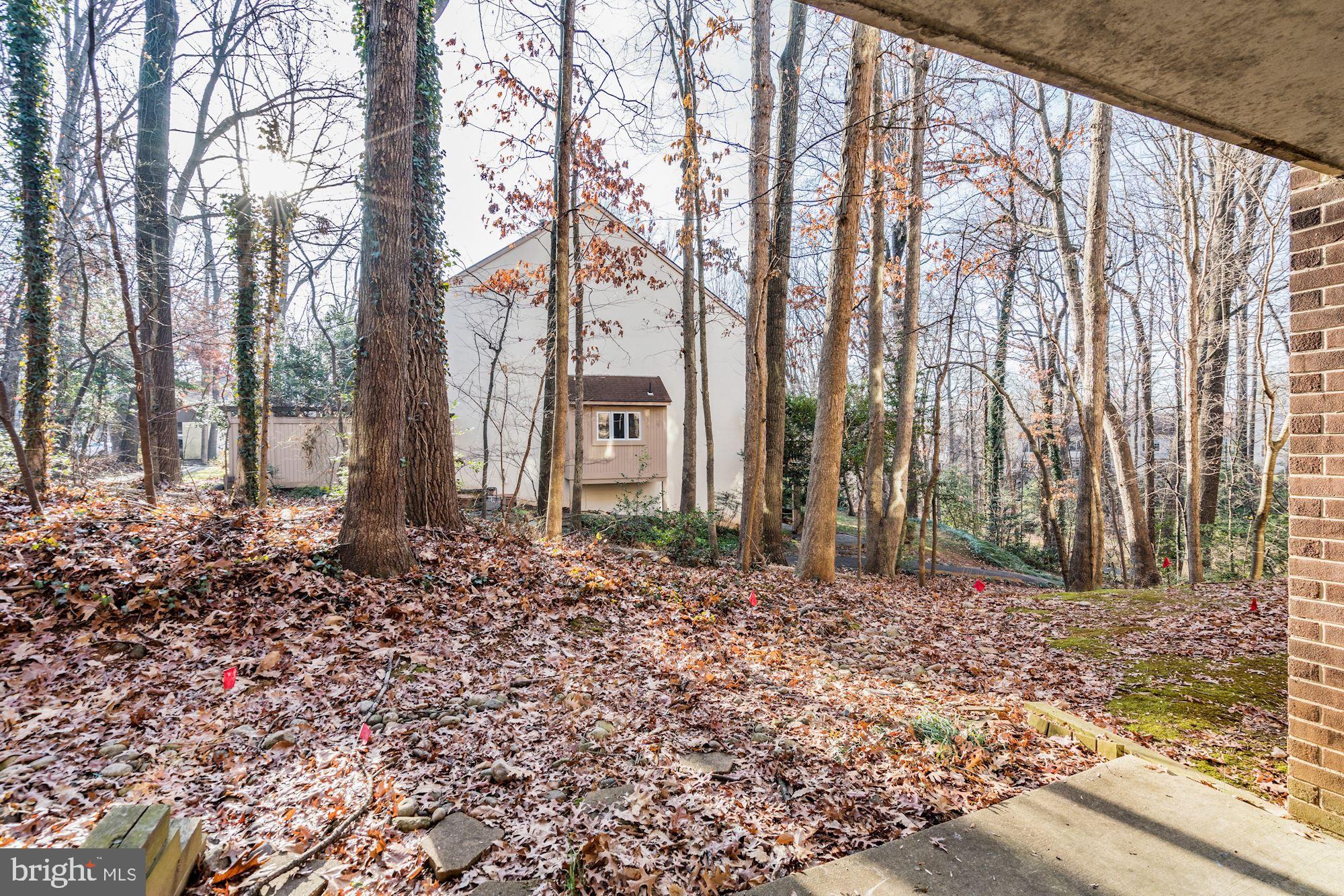 1540 Northgate Square, Unit 1A Reston, VA 20190 - Photo 20 of 24