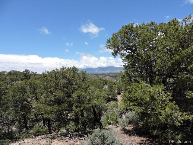 3889 Galloway Road Fort Garland, CO 81133 - Photo 3 of 13 Gallery Image 3