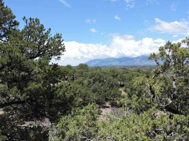 3889 Galloway Road Fort Garland, CO 81133 - Photo 5 of 13 Gallery Image 5
