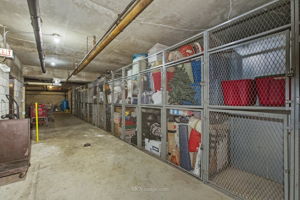 5400 Walnut Avenue, Unit 208 Downers Grove, IL 60515 - Photo 17 of 19